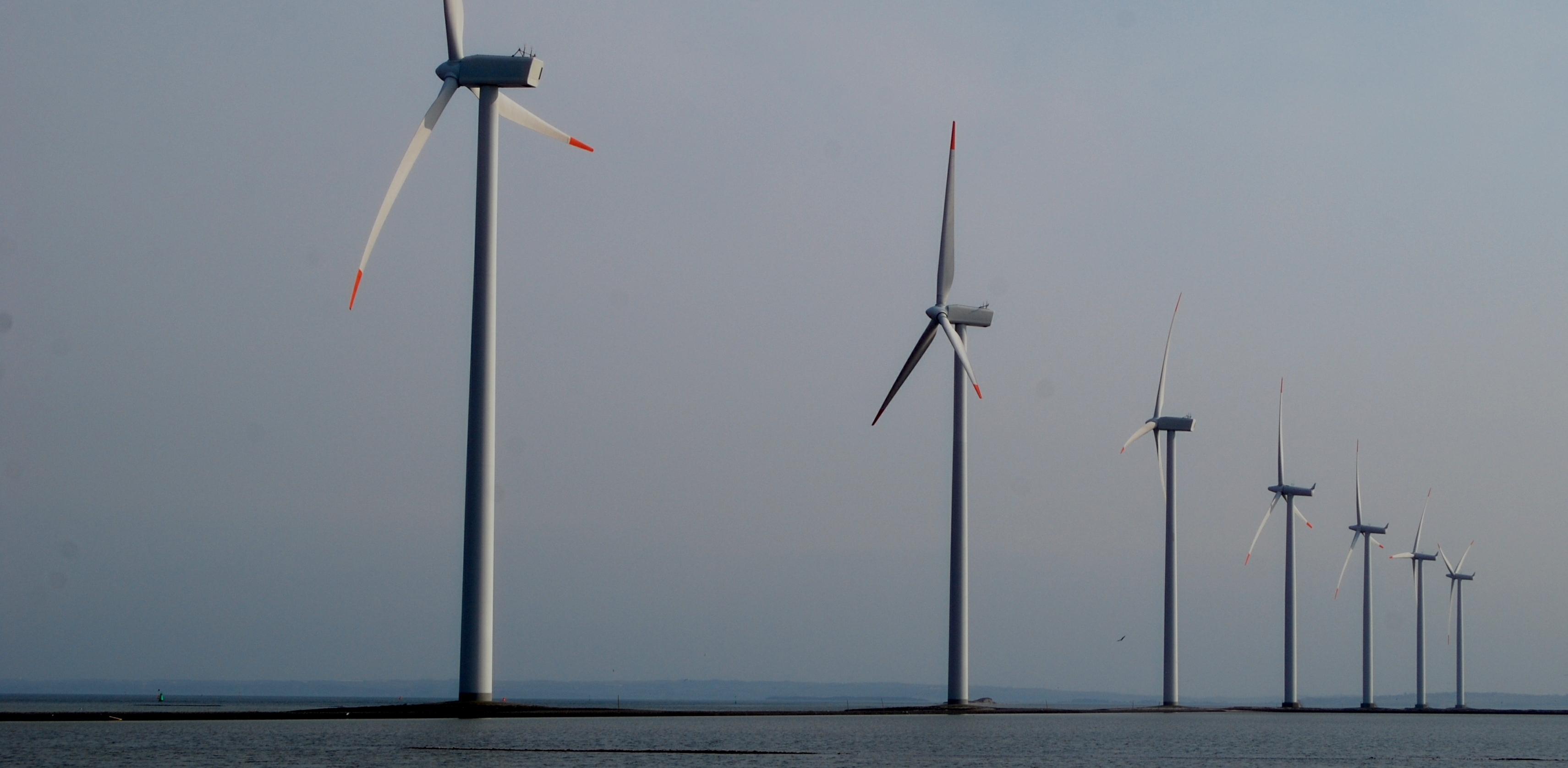 (fot. Wikimedia Commons/Ragnar1904)