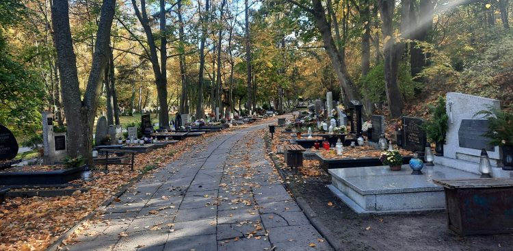 (Fot. Anna Rębas/Anna  Krüger)