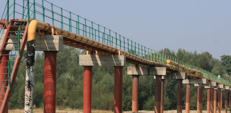 (Fot. wikimedia commons)