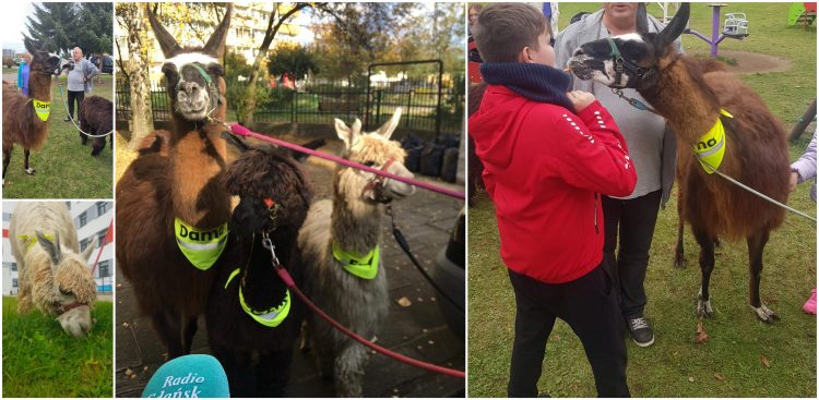 (Fot. Radio Gdańsk/Aleksandra Trembicka/arch. szpitala)