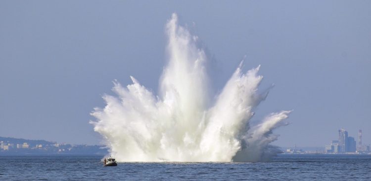 (fot. archiwum 8FOW)