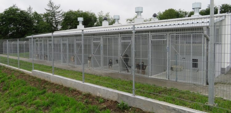 Fot. Przemysław Woś