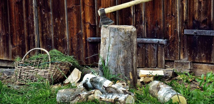 Fot. Pixabay.com / Jerzy Gorecki