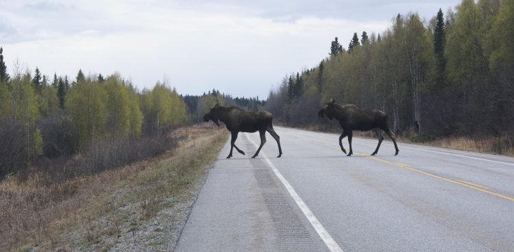 Zdjęcie ilustracyjne (fot. toffehoff/Flickr)