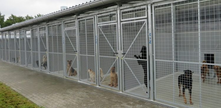 Fot. Wojewódzki Fundusz Ochrony Środowiska w Gdańsku