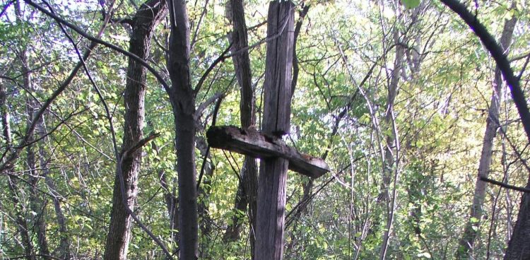 (Fot. Fundacja Wolność i Demokracja)