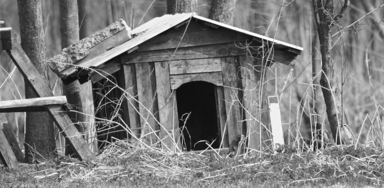 (fot. WIkimedia Commons/zbylon)