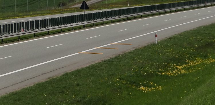 (Fot. materiały prasowe)