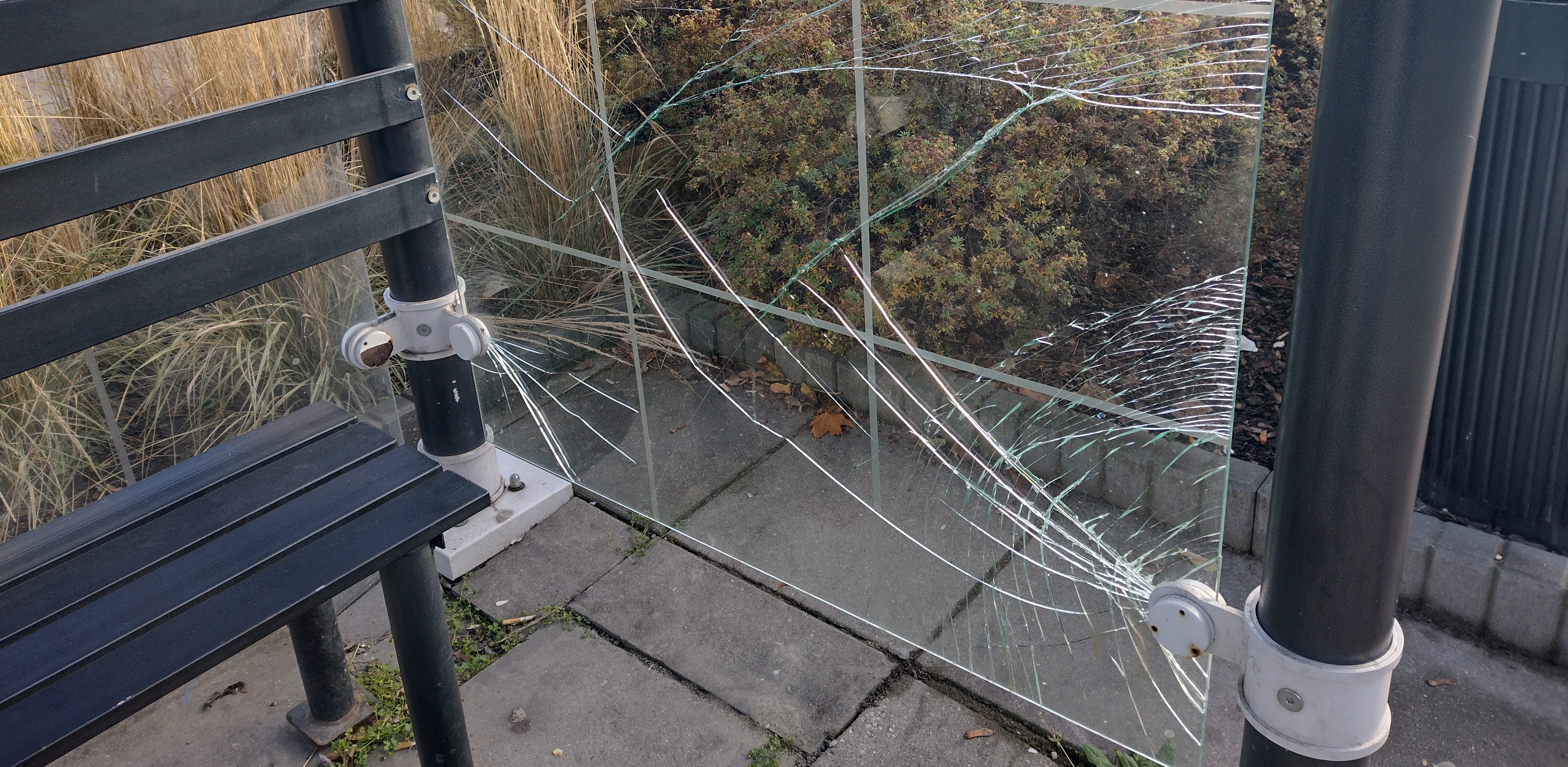 (fot. Radio Gdańsk/Hanna Brzezińska)