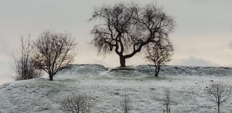 (fot. Anna Rezulak / KFP)