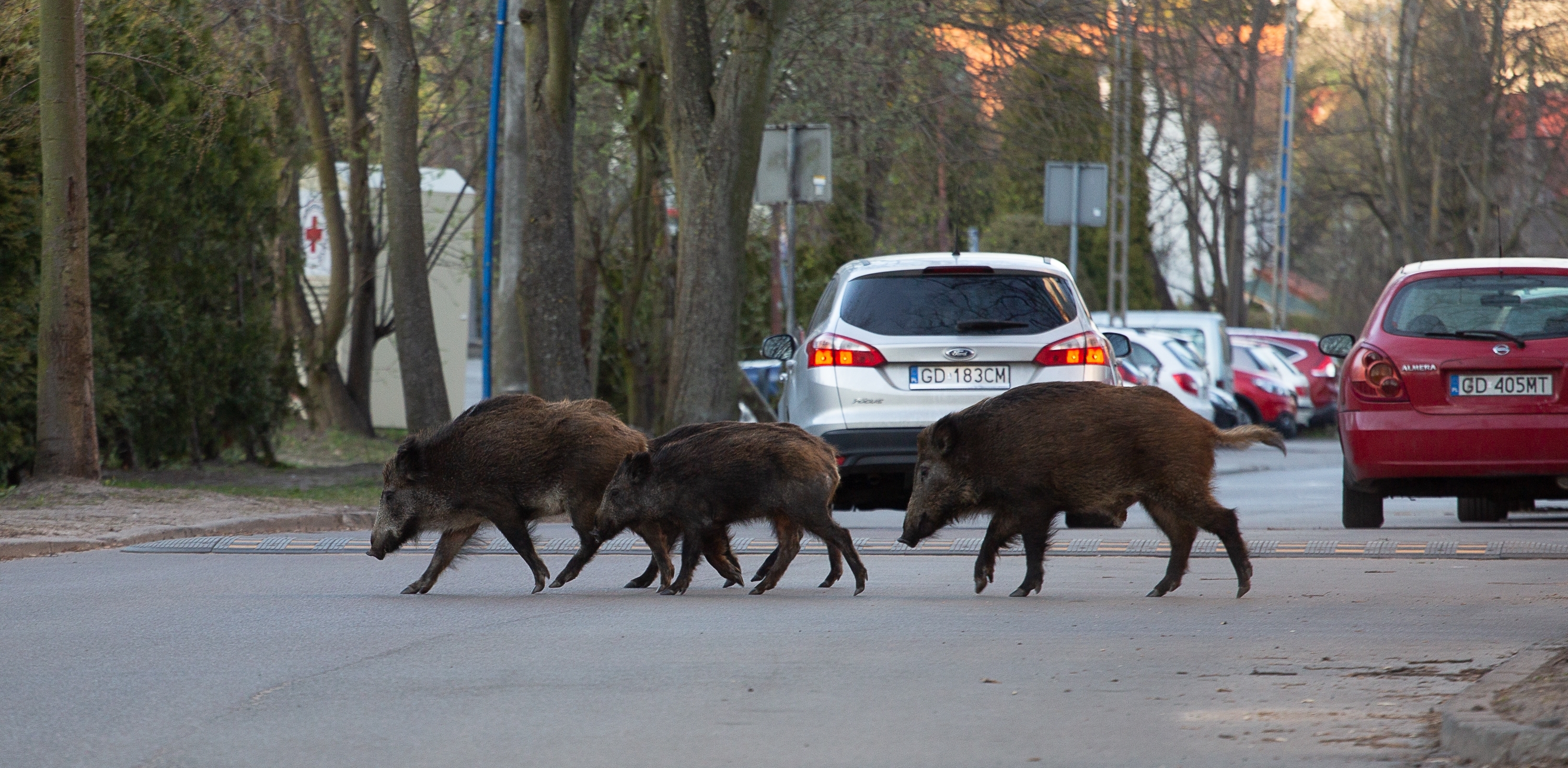 (Fot. Agencja KFP/Anna Rezulak)