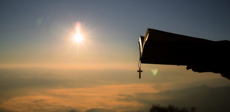 (fot. Freepik/jcomp)