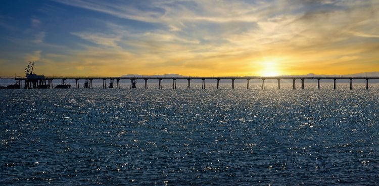 Zdjęcie ilustracyjne (Fot. Pixabay)