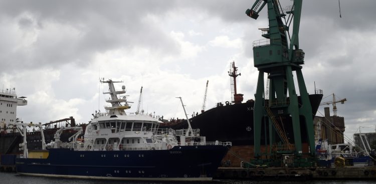 (Fot. Maciej Kosycarz / KFP)