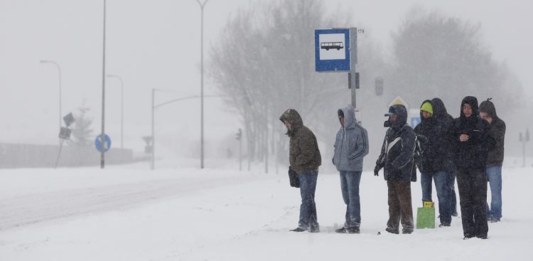 (fot. Krzysztof Mystkowski / KFP)