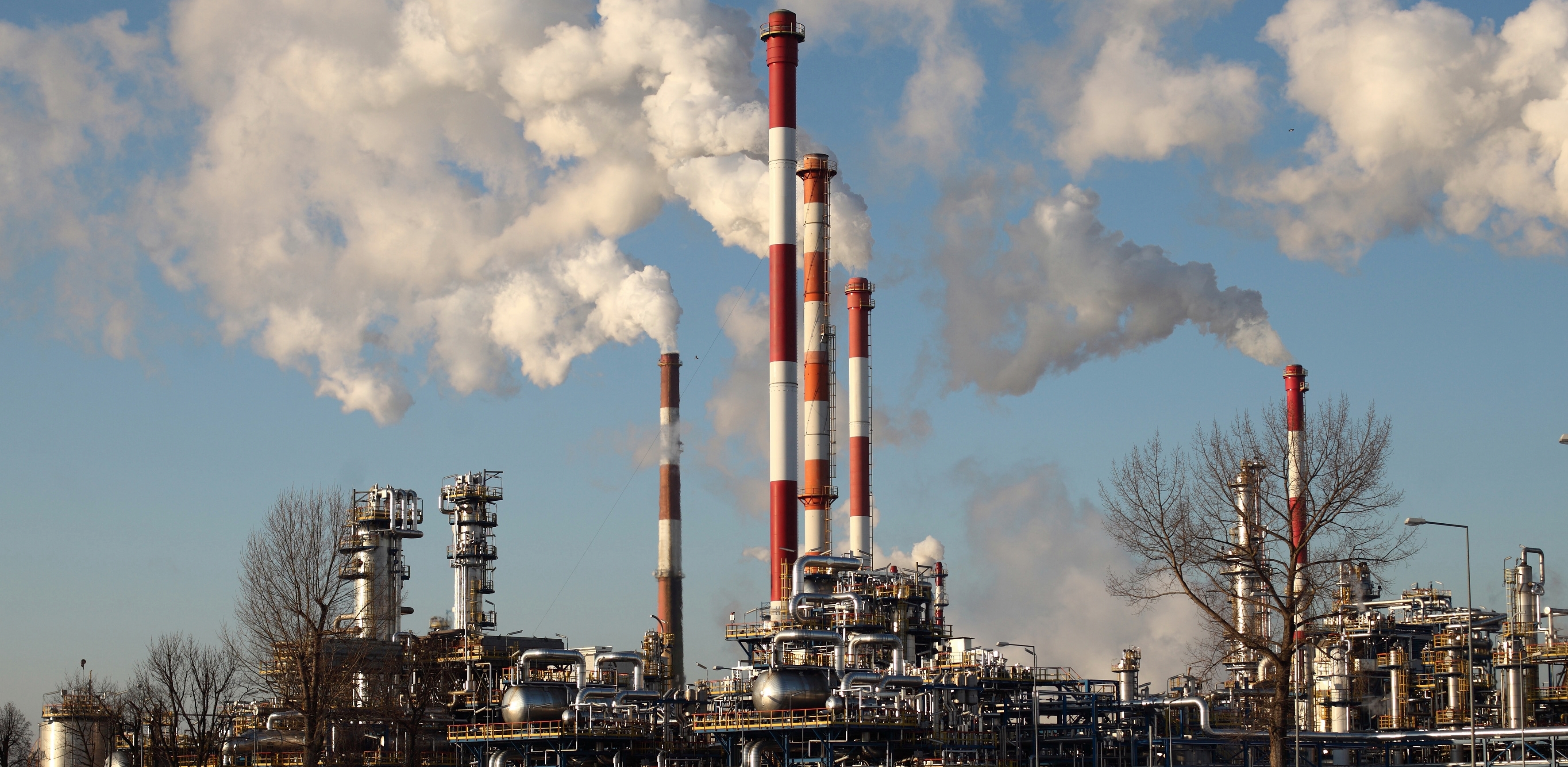 (fot. Krzysztof Mystkowski / KFP)