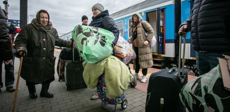 (fot. Krzysztof Mystkowski / KFP)