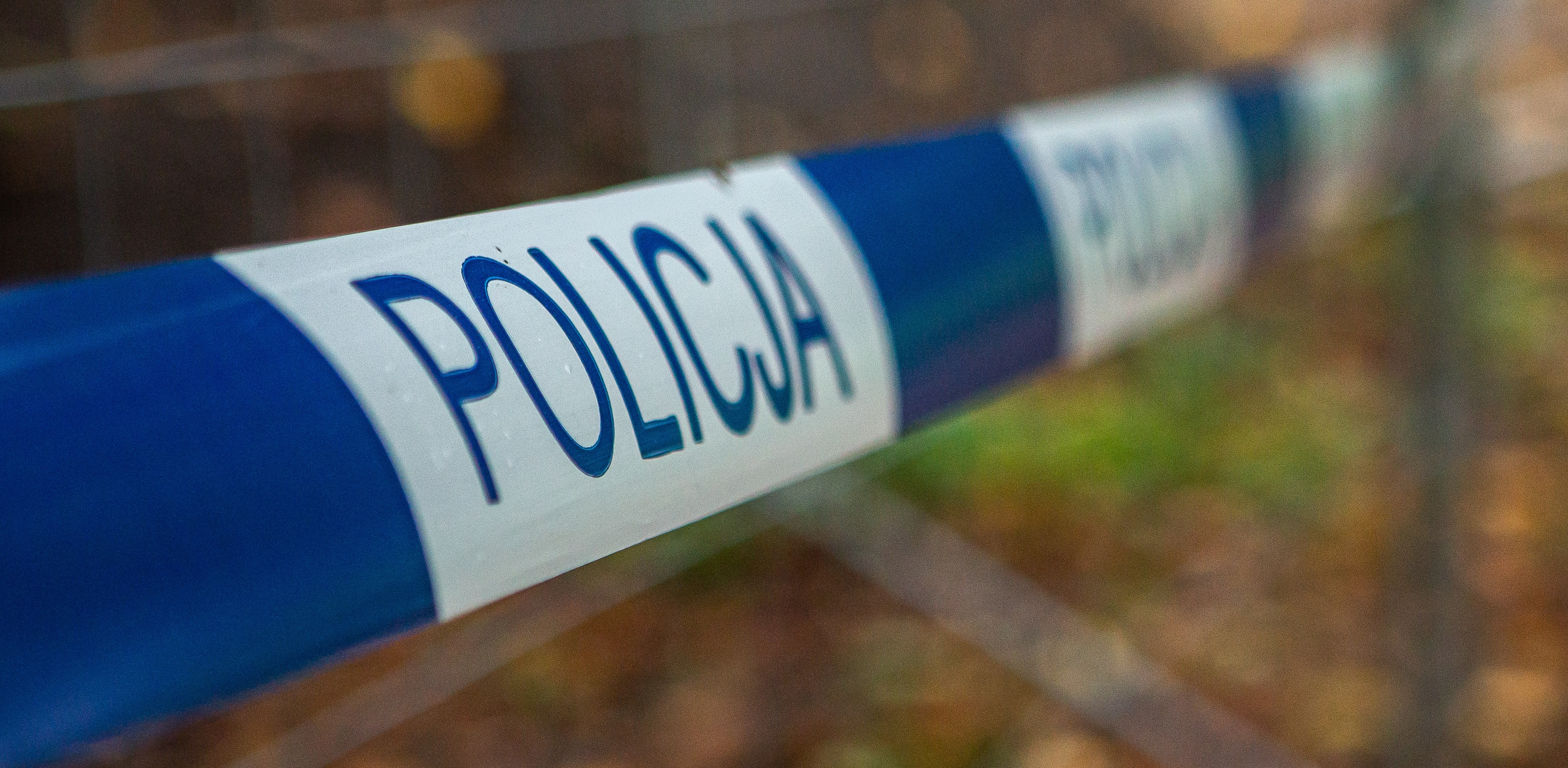 (fot. Anna Rezulak / KFP)