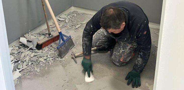 Fot. Schronisko dla zwierząt