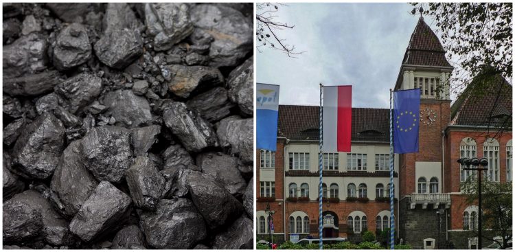 (Fot. Pixabay/Urząd Miasta Sopotu)