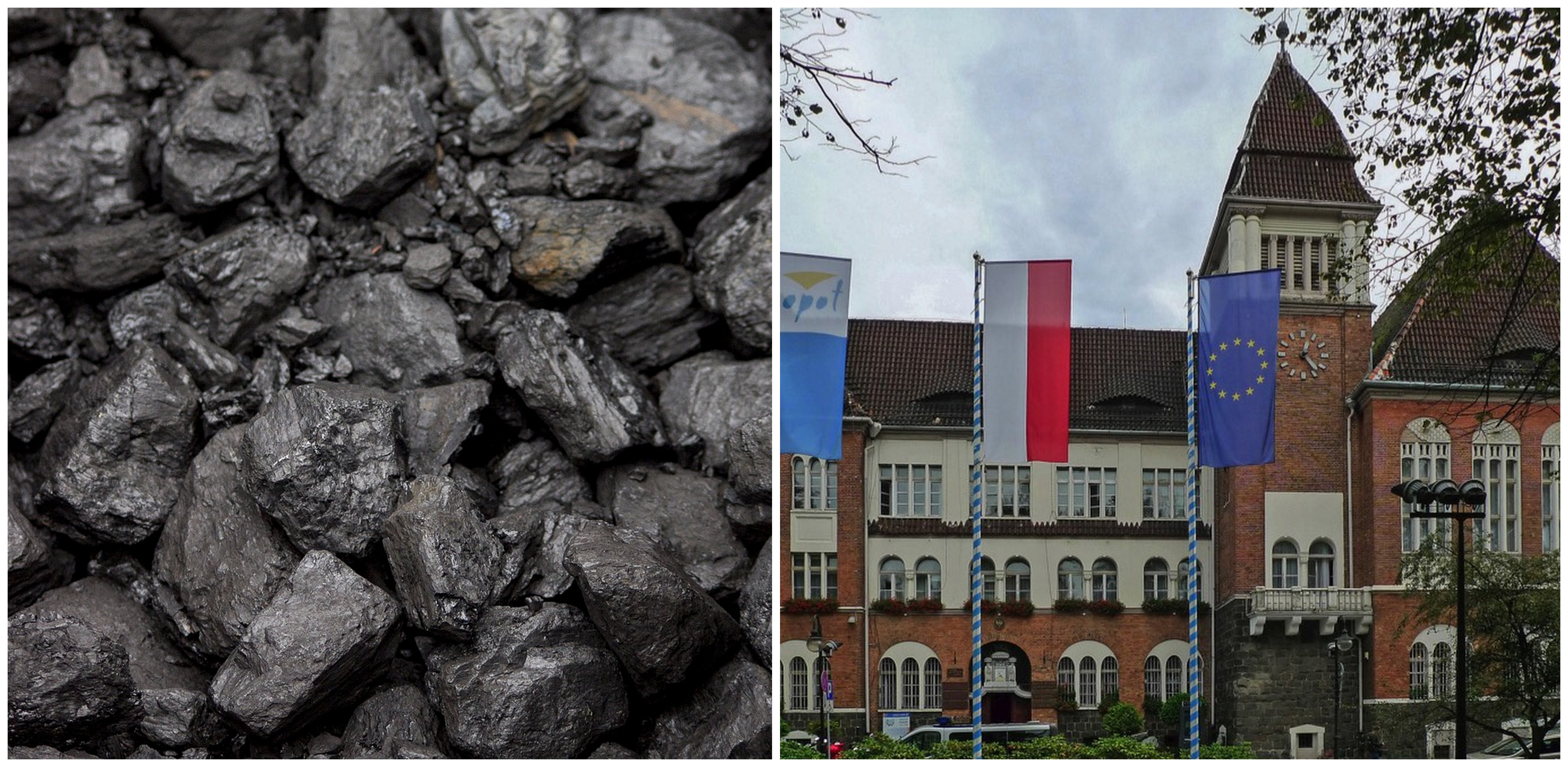 (Fot. Pixabay/Urząd Miasta Sopotu)