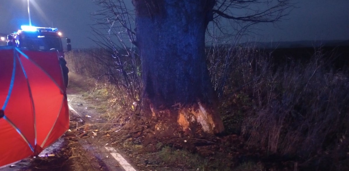 (fot. Komenda Powiatowa Państwowej Straży Pożarnej w Pucku)