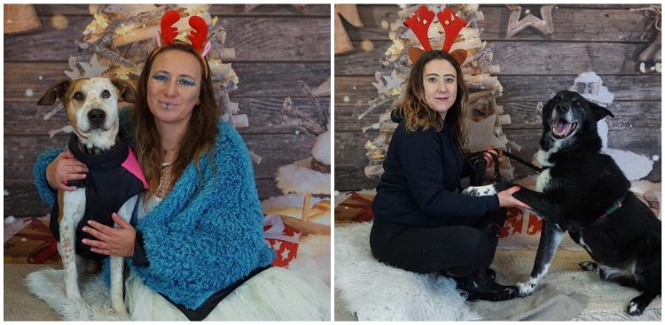 (fot. Facebook/PROMYK Schronisko dla Bezdomnych Zwierząt Gdańsk)