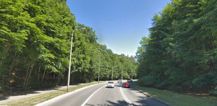 Leśny odcinek ulicy Kieleckiej w Gdyni (fot. Google Street View)
