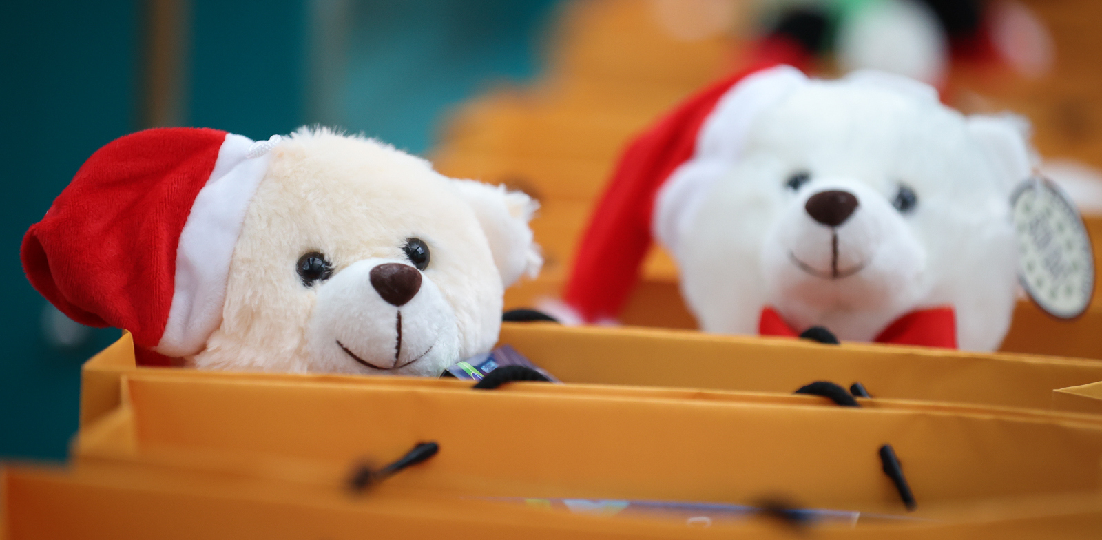 (Fot. Radio Gdańsk/Roman Jocher)