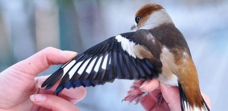 (fot. archiwum prywatne)