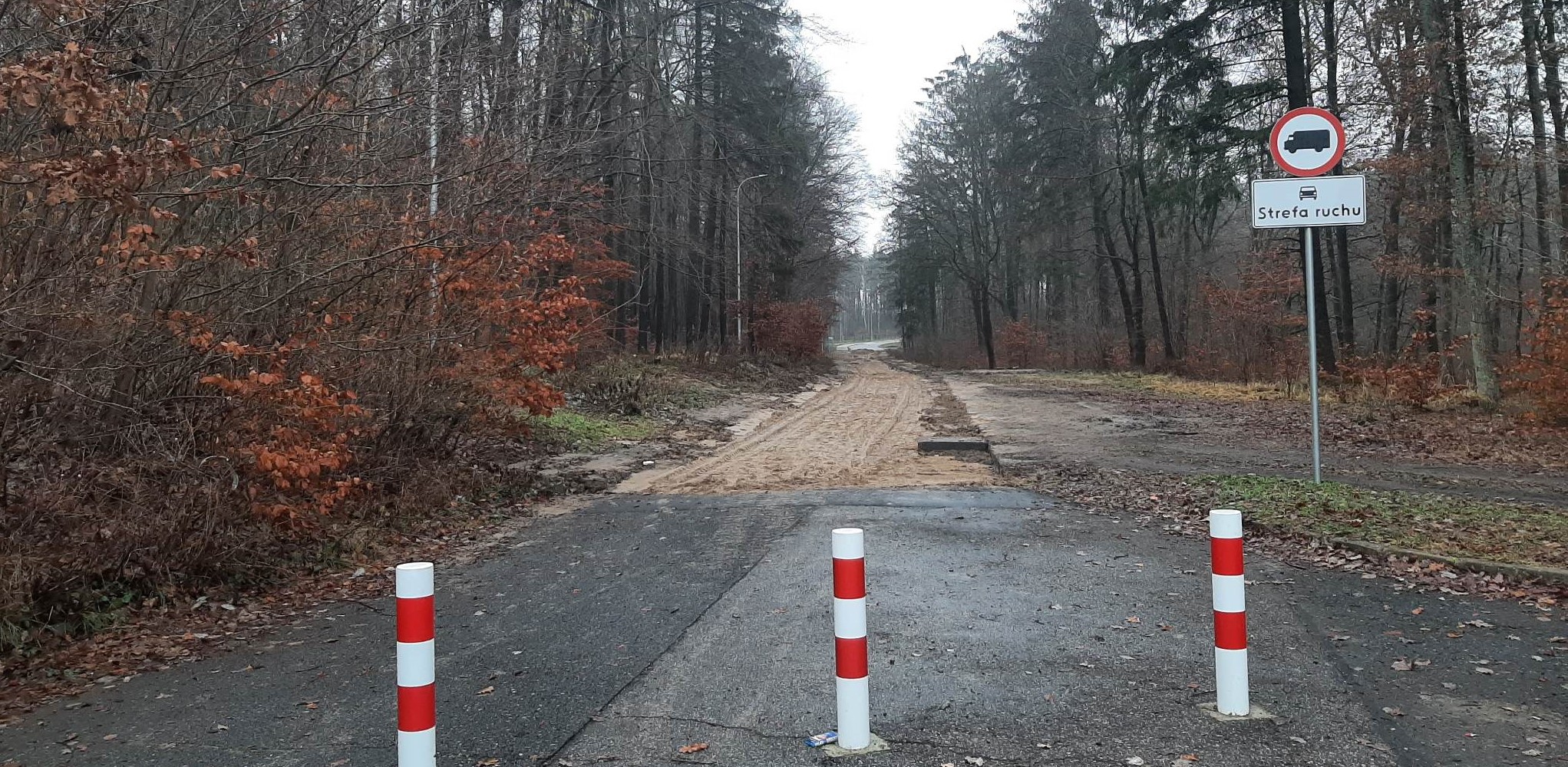 (Fot. Radio Gdańsk/Przemysław Woś)