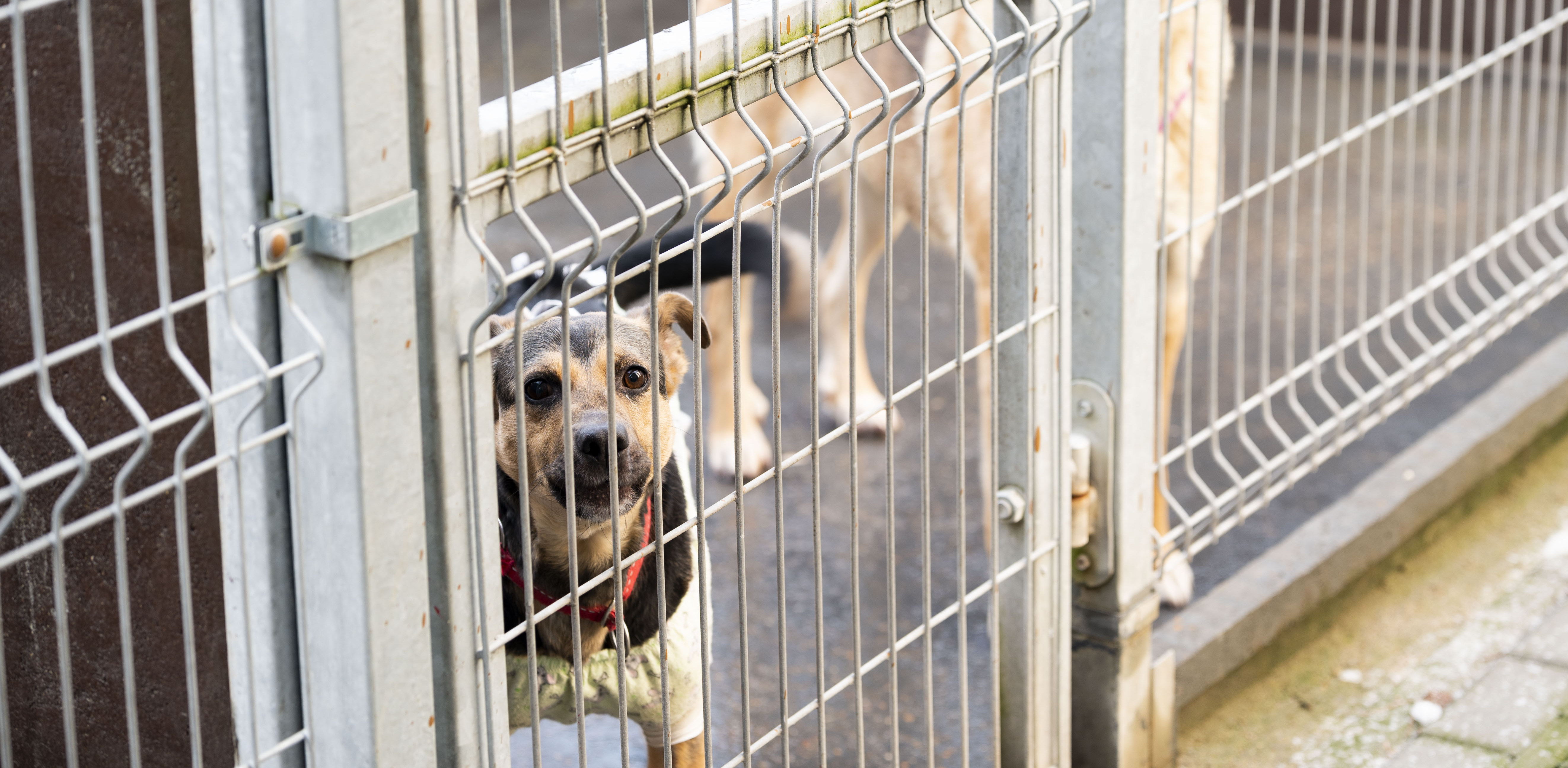 Zdjęcie ilustracyjne (fot. Anna Bobrowska / KFP)