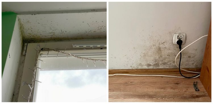 (Fot. Radio Gdańsk/Marta Włodarczyk)