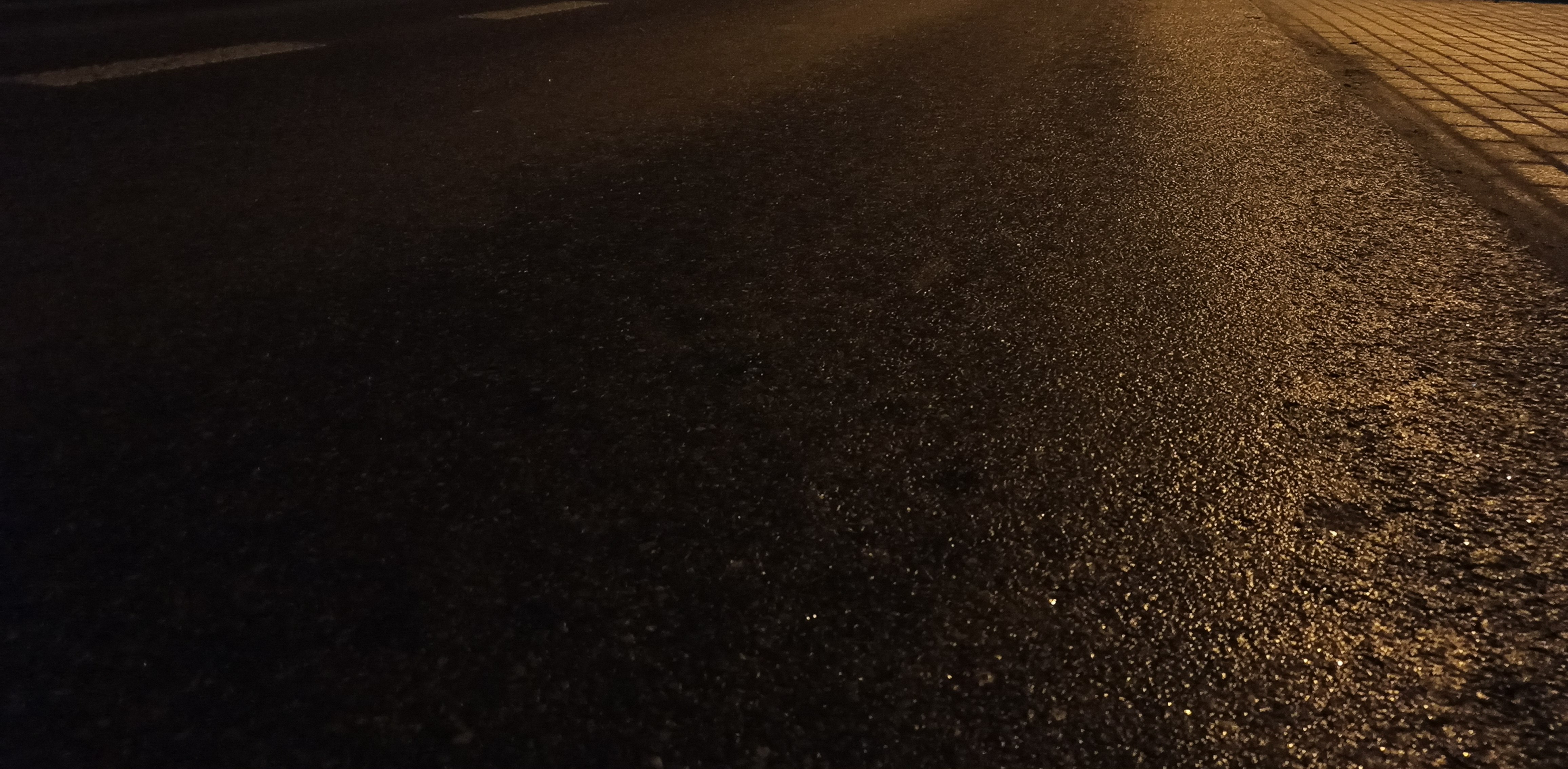 (Fot. Radio Gdańsk/Sebastian Kwiatkowski)