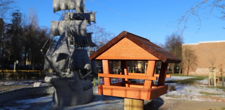 (fot. Ustka na Fali)