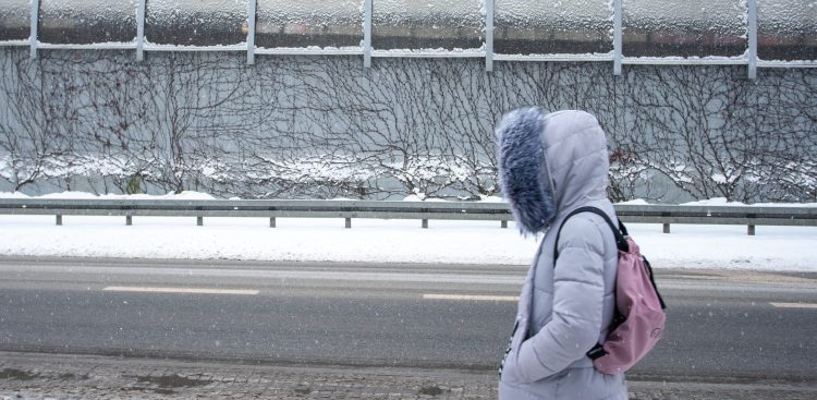 (fot. Anna Rezulak / KFP)