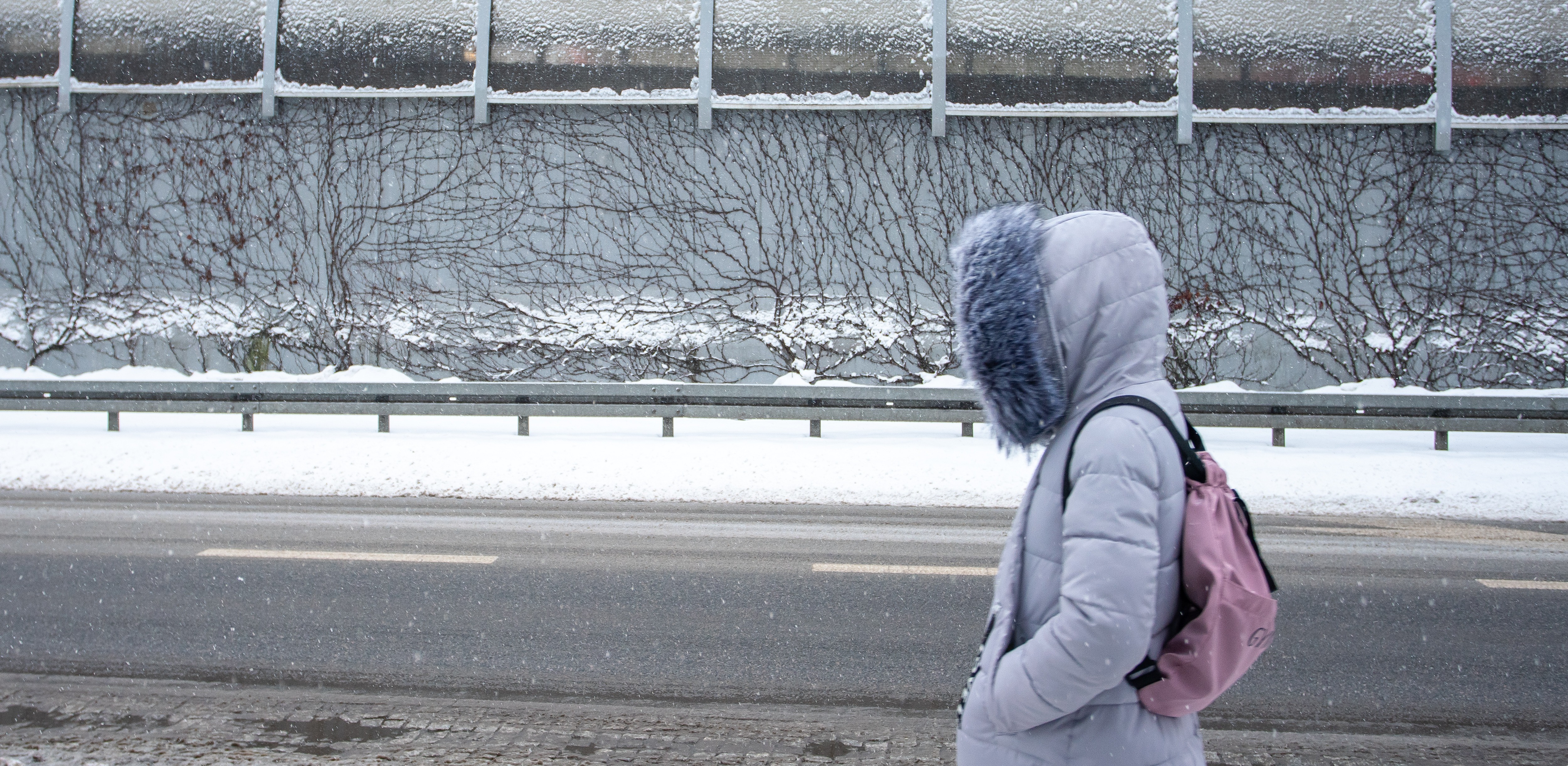 (fot. Anna Rezulak / KFP)