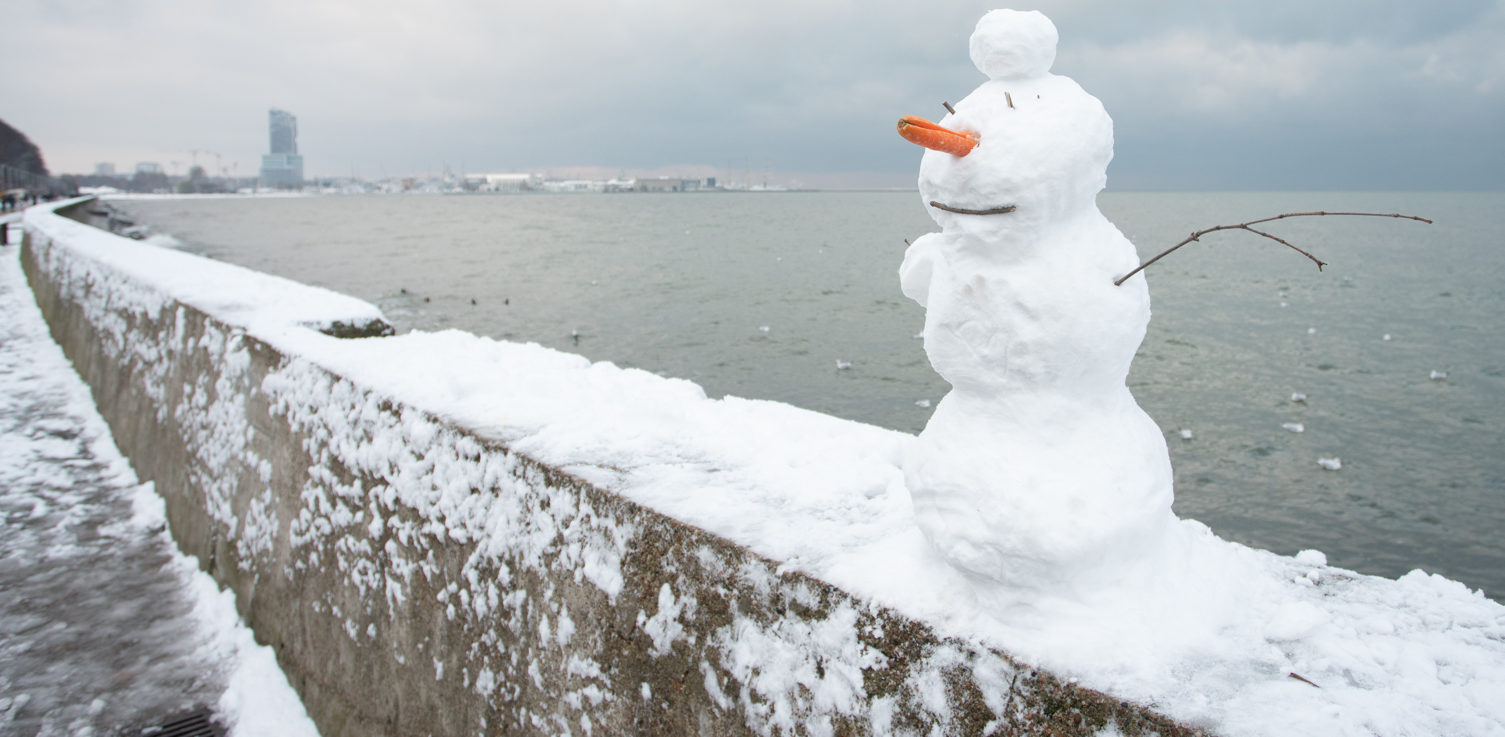 (Fot. Anna Rezulak / KFP)