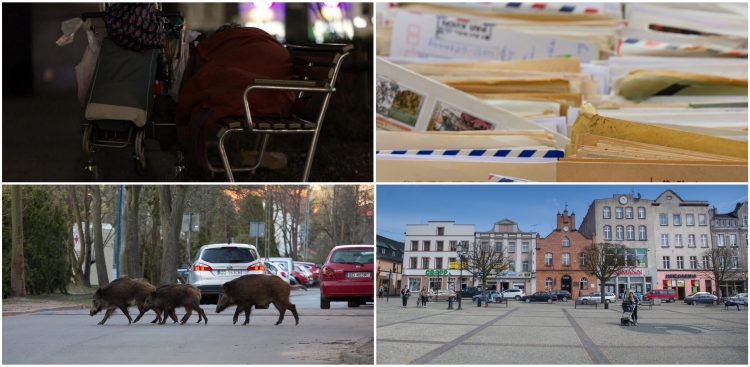 (fot. Pixabay / Agencja KFP/Anna Rezulak / Agencja KFP/Mateusz Ochocki)