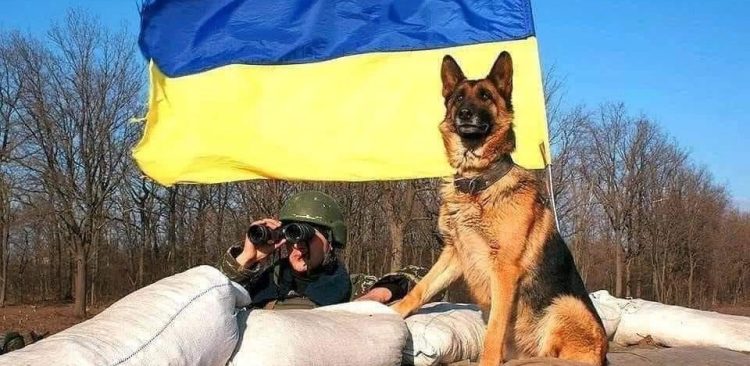 (fot. General Staff of the Armed Forces of Ukraine)