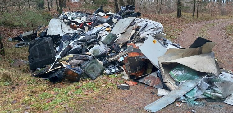 (fot. Nadleśnictwo Lębork)