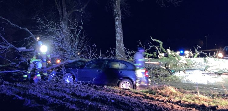 (fot. Facebook/OSP Sulęczyno)