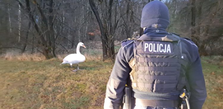 (Fot. pomorska.policja.gov.pl)