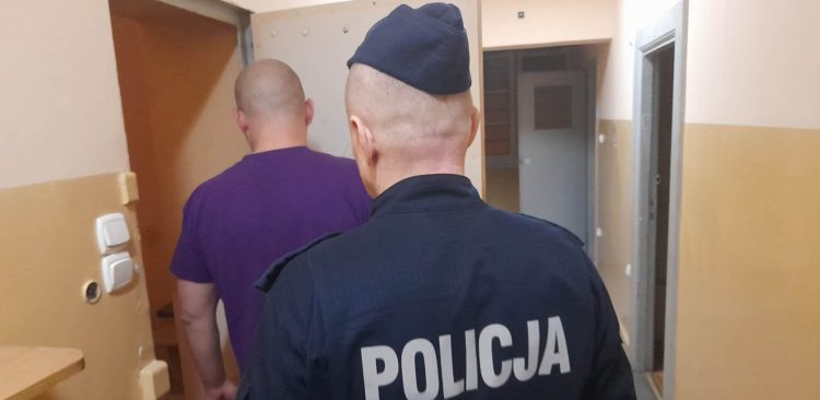 (Fot. materiały prasowe)