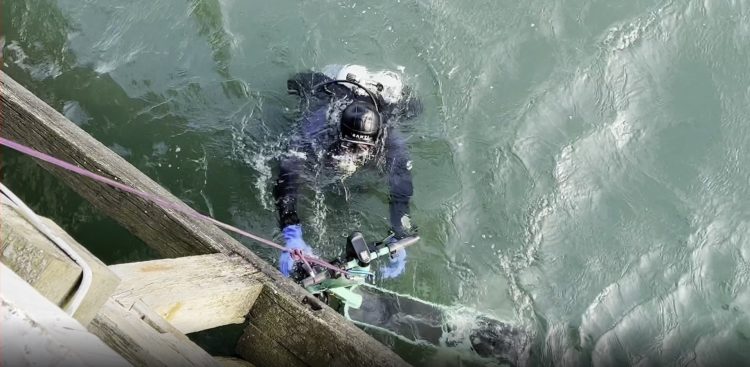 (Fot. UM Gdynia/Centrum Techniki Nurkowej)