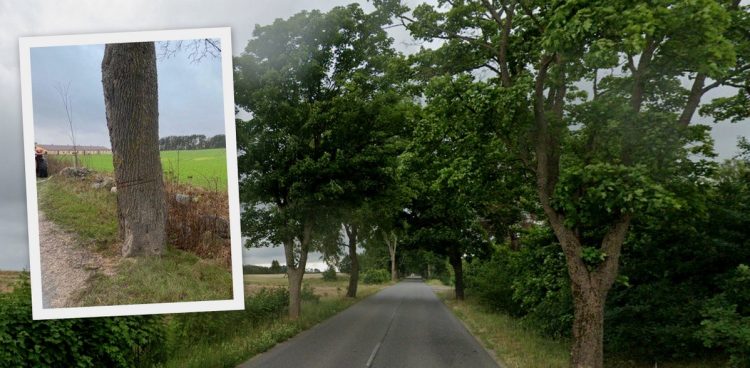 (fot. Google Street View, Radio Gdańsk/Sebastian Kwiatkowski)