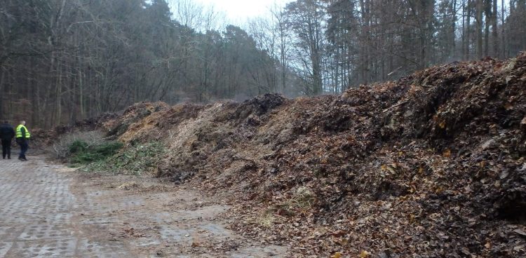 (Fot. arch. WIOŚ w Gdańsku)