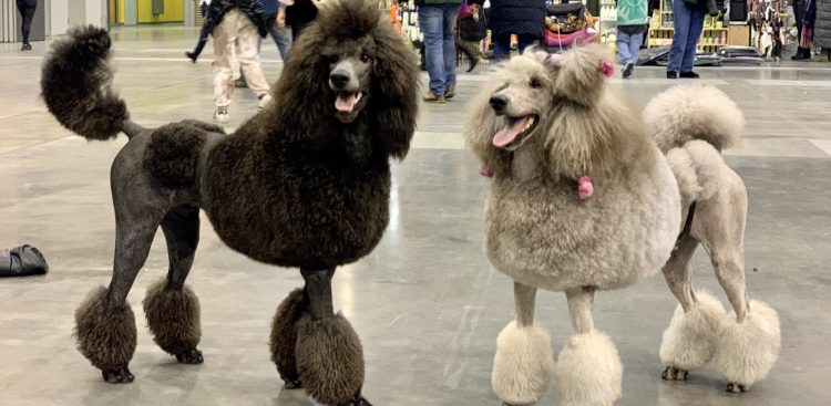 (fot. Radio Gdańsk/Aleksandra Trembicka)