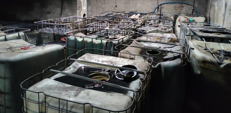 (fot. Radio Gdańsk/Sebastian Kwiatkowski)