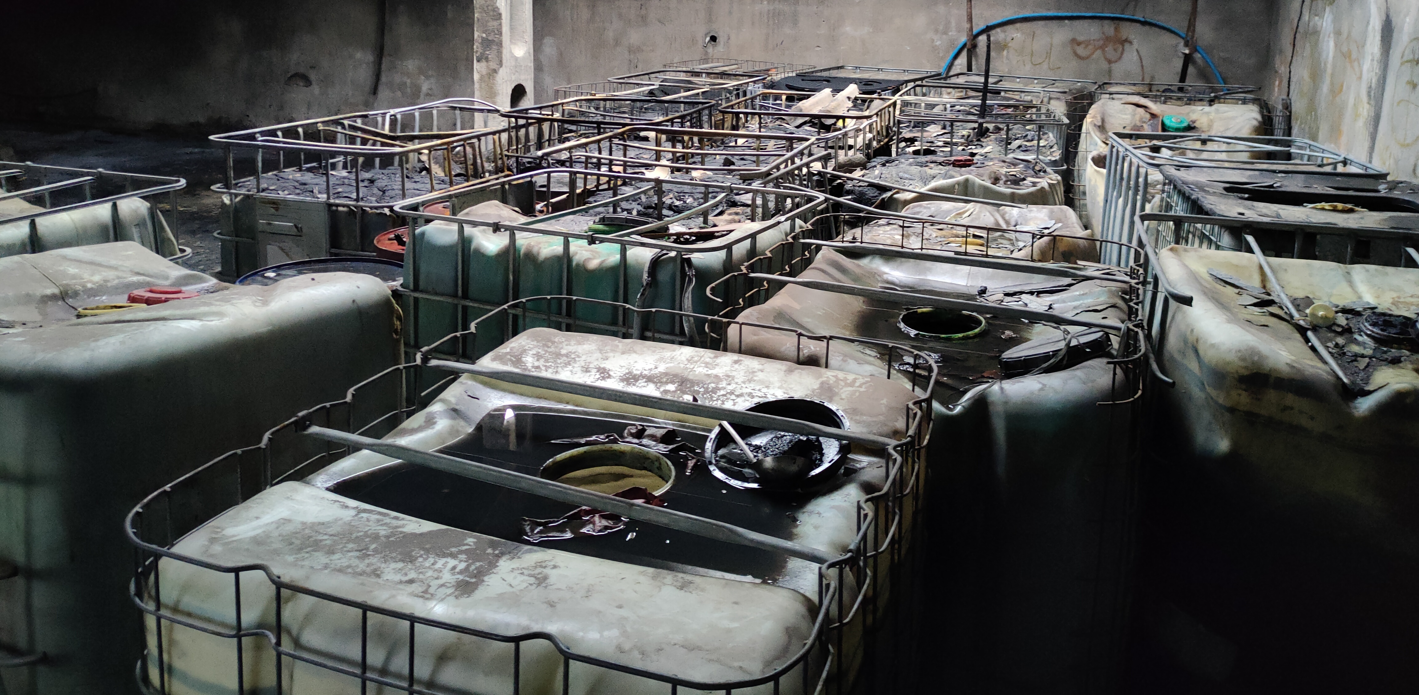 (fot. Radio Gdańsk/Sebastian Kwiatkowski)